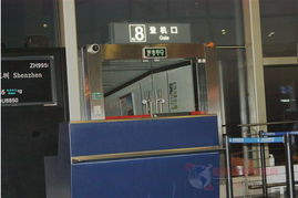 深圳华南国际孕婴童用品展览会 服装鞋帽新趋势全解析